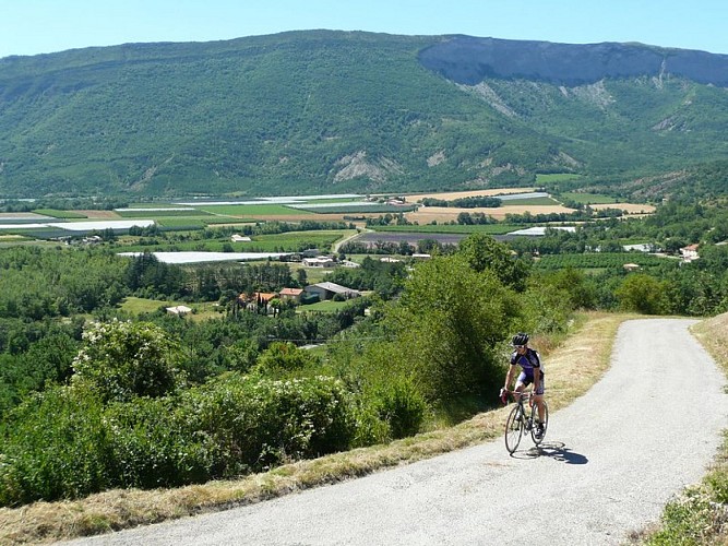 Saléon