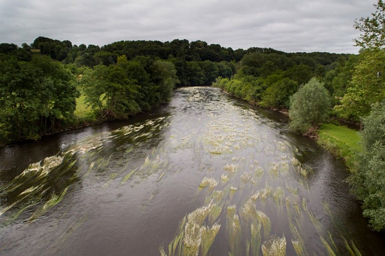 Vue sur la Creuse à St Gaultier