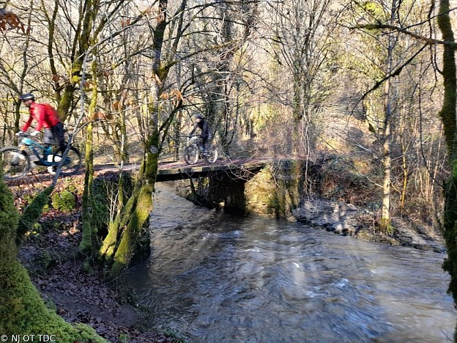 Passerelle du Moulin de la Forge