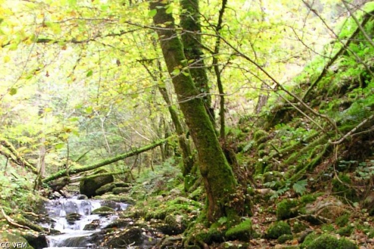 Circuit VTT n°21 : A l’Orée des villages