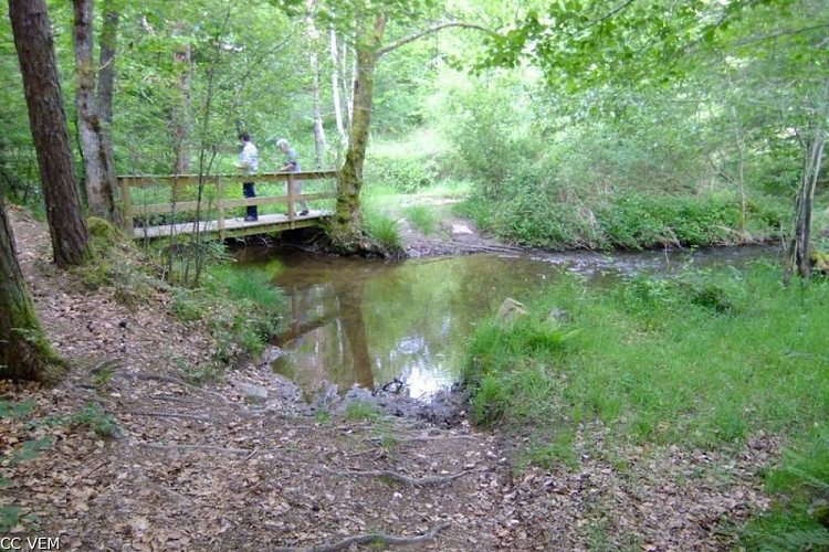 Circuit VTT n°23 : Le tour de Saint-Merd-de-Lapleau