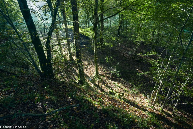 Entre vallons et cours d'eau