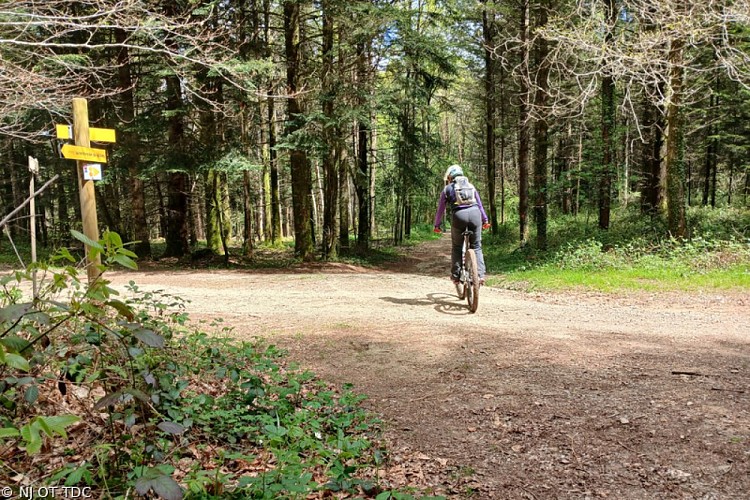 Autour de la Grènerie