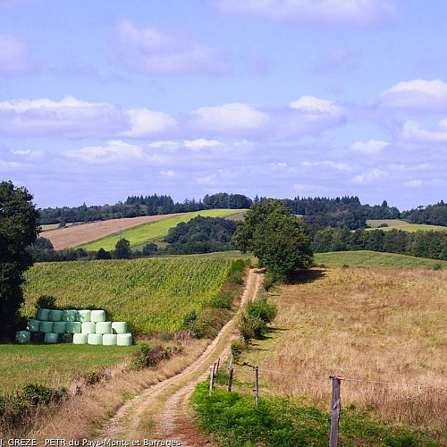 Chemin de Golas au Bouque