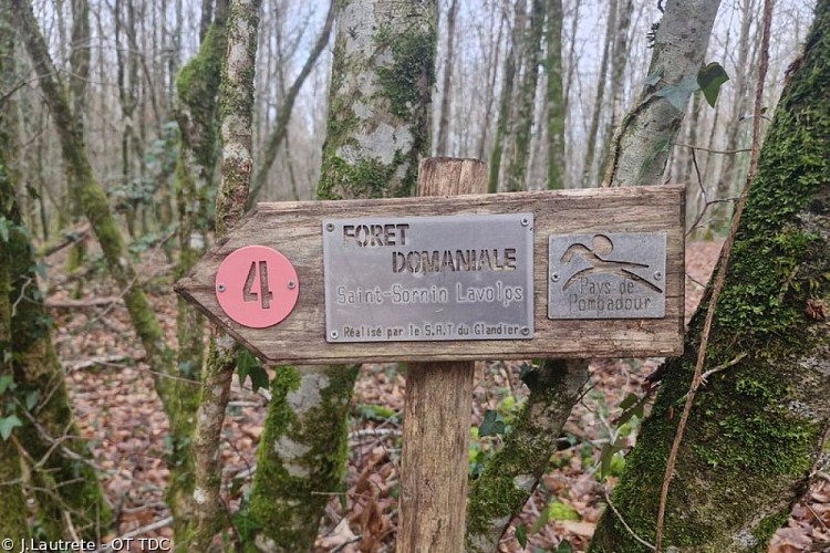 Forêt Domaniale