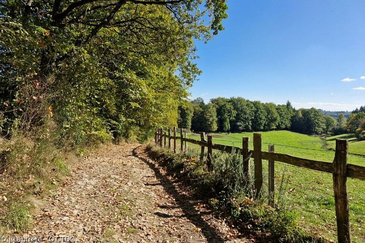 Randonnée de la Forêt