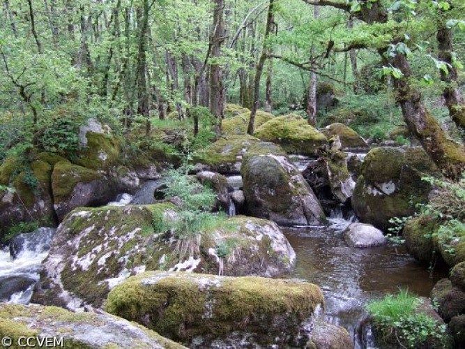 Les cascades du Doustre