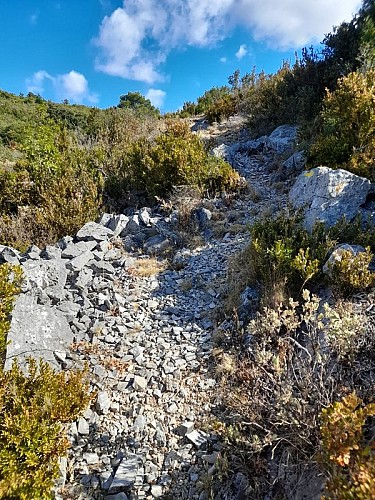 Le tour de la Grotte de Limousis