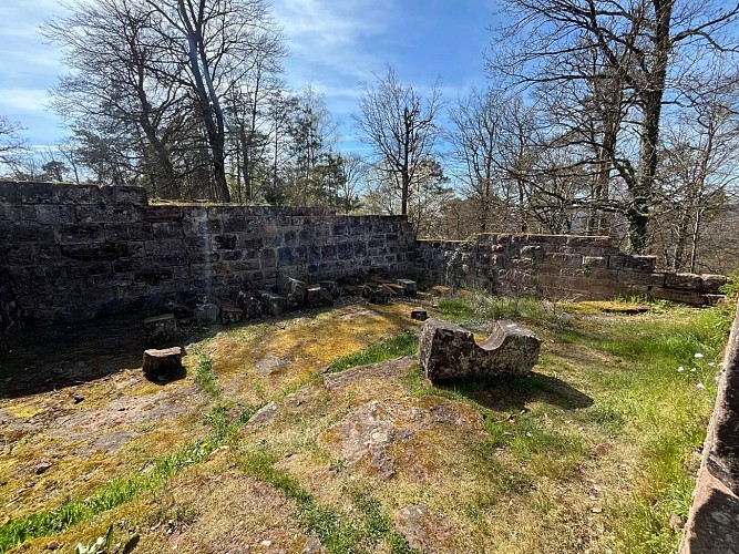 Circuit archéologique du château de Warthenberg