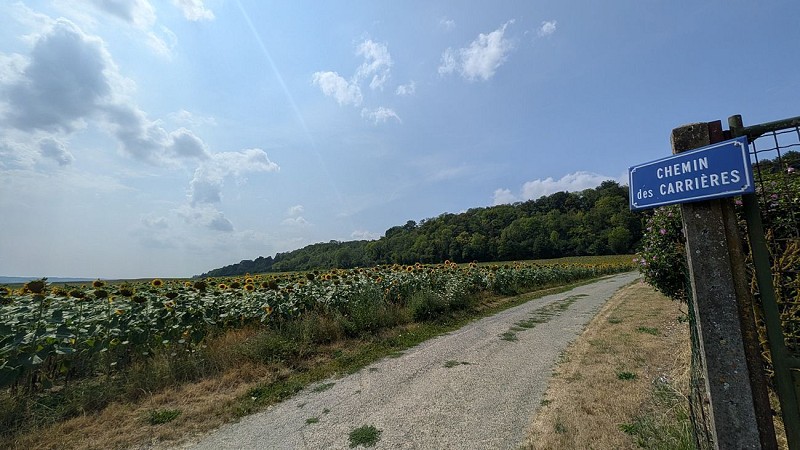 Chemin vers Mont Faucon II