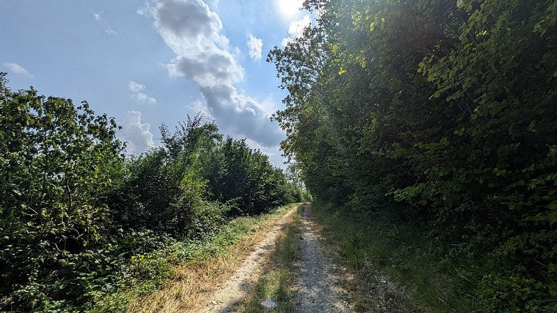 Chemin vers Mont Faucon III