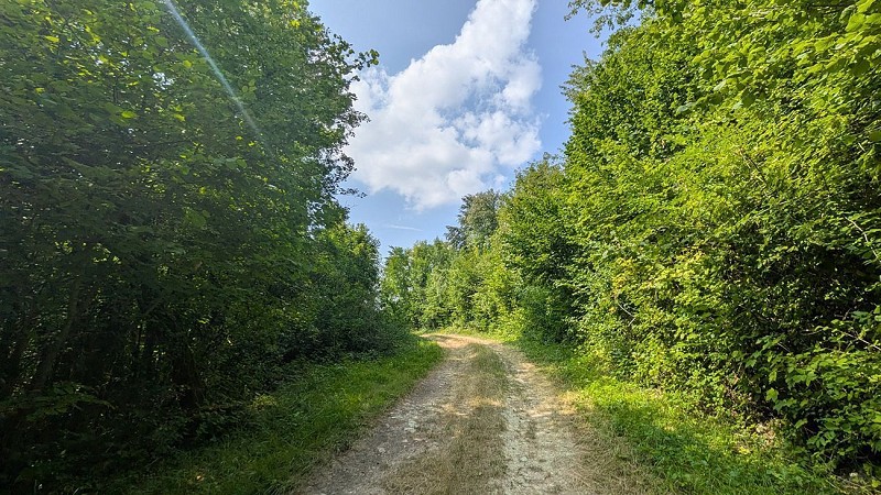 Chemin vers Mont Faucon IV