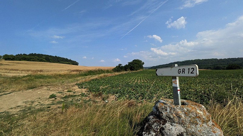 Chemin de Grande Randonnée GR12 à Vendresse
