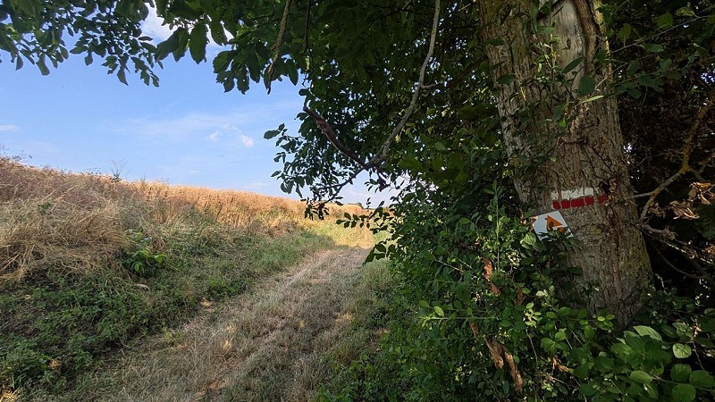 Chemin de Grande Randonnée GR12 à Vendresse II