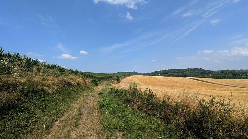 Chemin de Grande Randonnée GR12 à Vendresse III