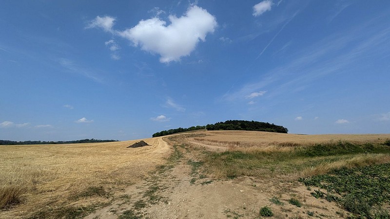 Mont Faucon