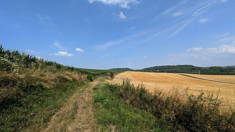 Chemin de Grande Randonnée GR12 à Vendresse III