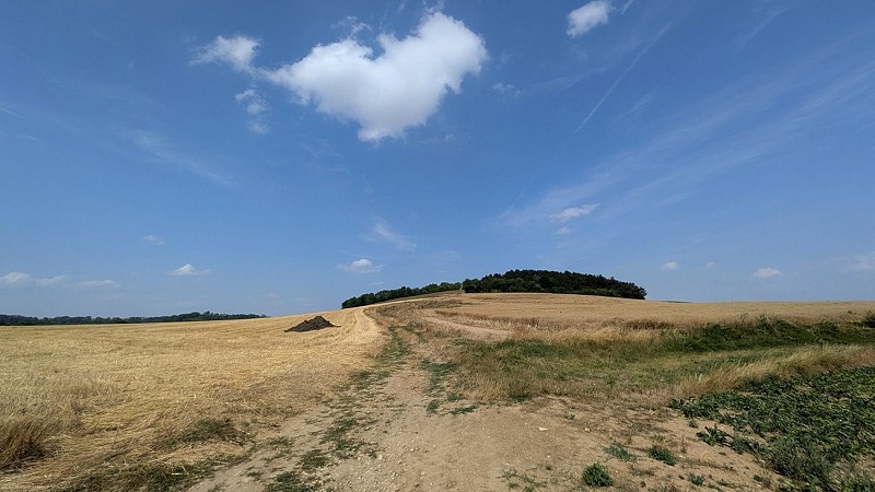 Mont Faucon