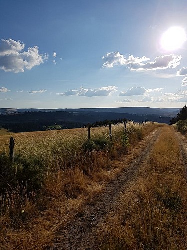 chemin avec soleil
