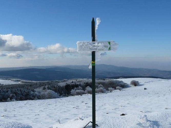 Les Panoramas