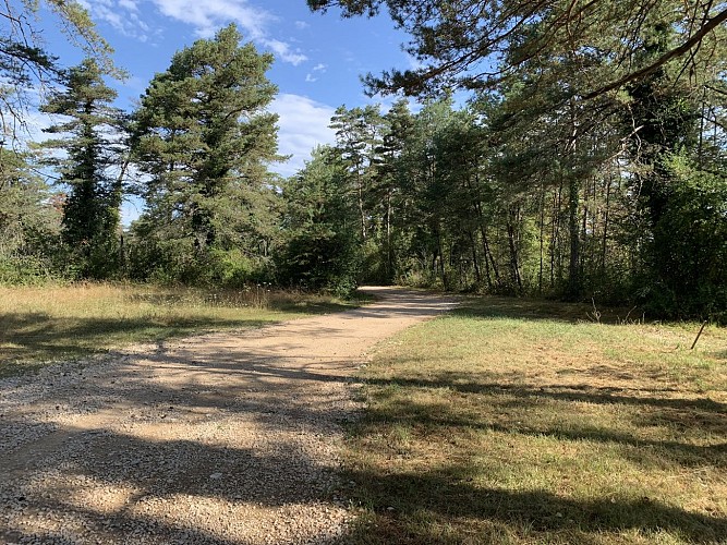 Hiking - Condamine circuit around Izernore