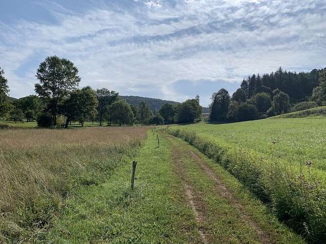 Hiking - Condamine circuit around Izernore