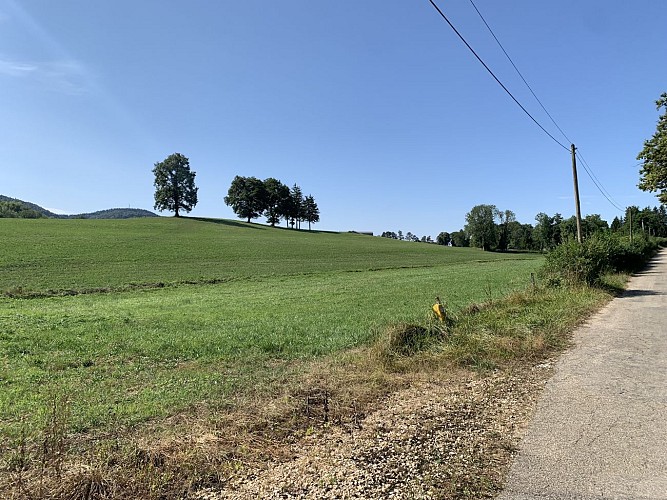 Wandelen - Condaminepad rond Izernore