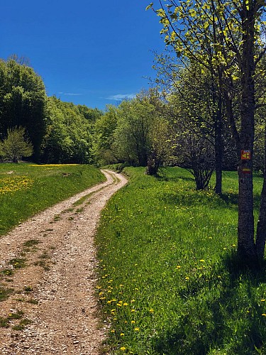 Multiday mountain biking loop : Mountainbiking on Grand Colombier and Retord Plateau - Espace FFC Ain Forestière
