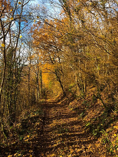 Multiday mountain biking loop : Mountainbiking on Grand Colombier and Retord Plateau - Espace FFC Ain Forestière
