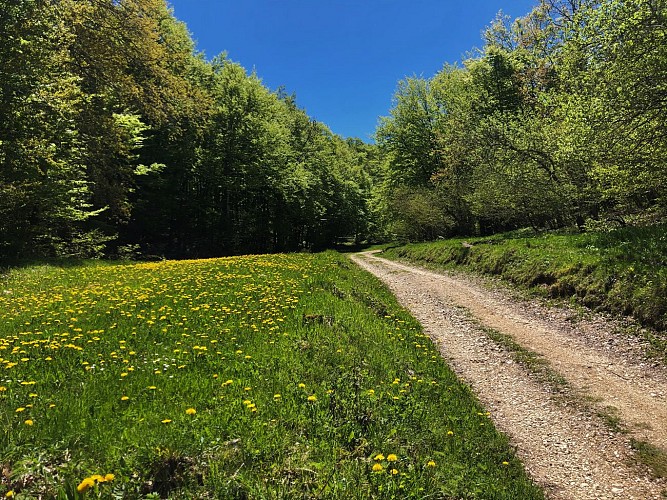 Multiday mountain biking loop : Mountainbiking on Grand Colombier and Retord Plateau - Espace FFC Ain Forestière