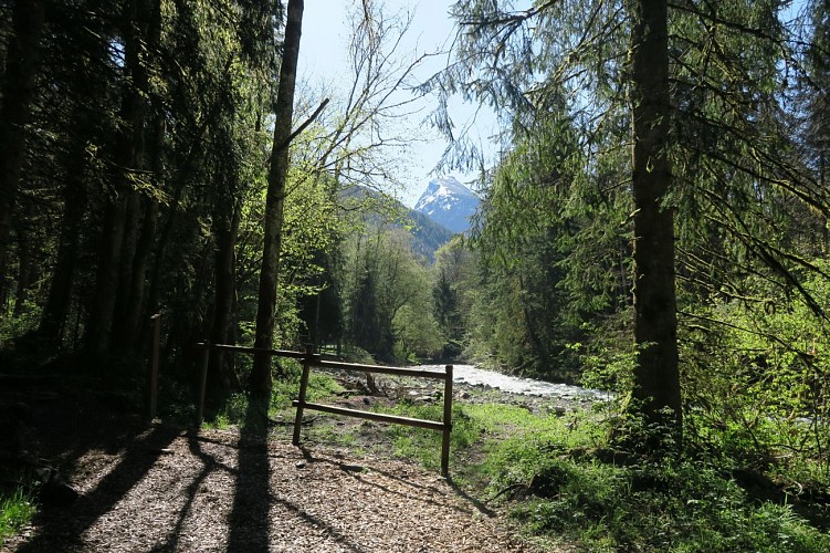Les Dérèches - a walk along the banks of the Dranse river