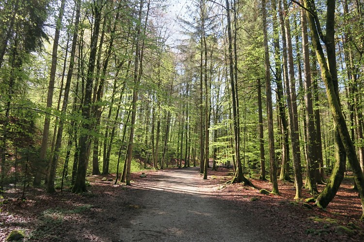 Les Dérèches - a walk along the banks of the Dranse river