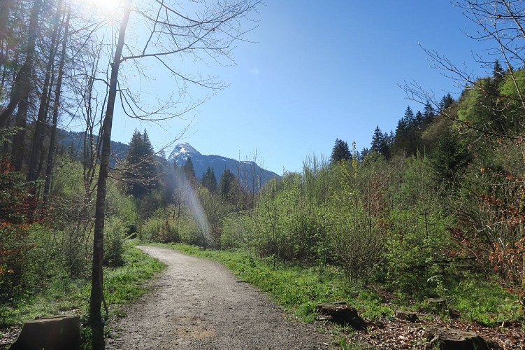 Les Dérèches - promenade au bord de la Dranse_Montriond