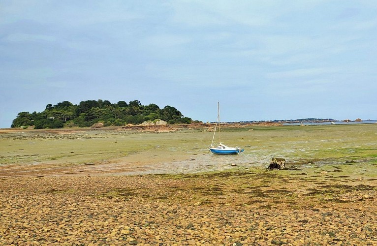 L'ile à bois - Bréhat | Kermouster