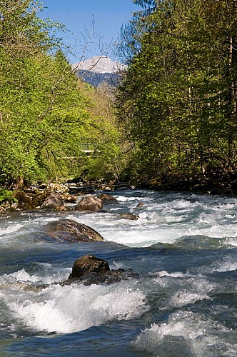 On the banks of the River Dranse