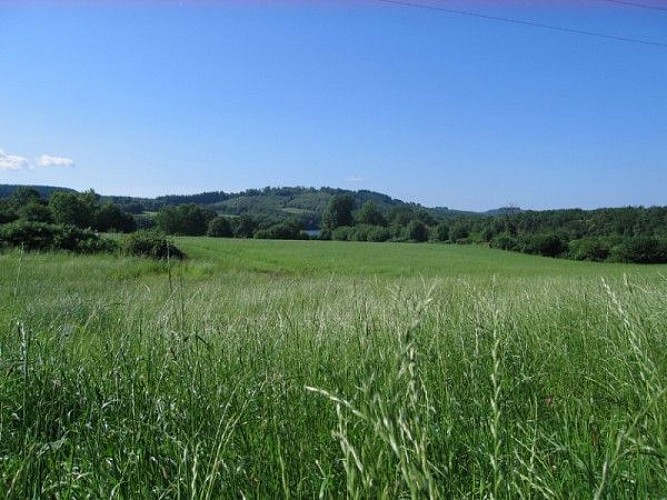 Le tour du lac de Saint-Pardoux