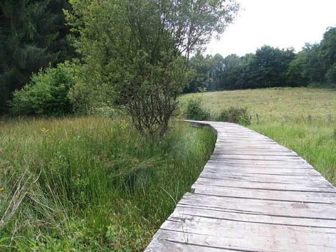 Le tour du lac de Saint-Pardoux