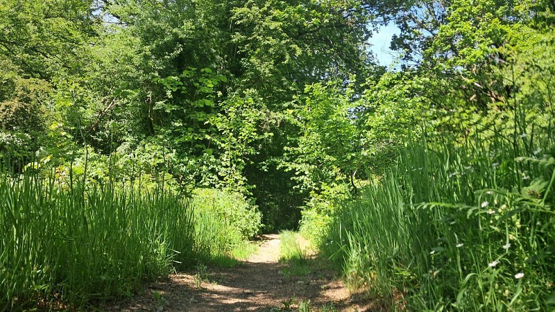 Sentier