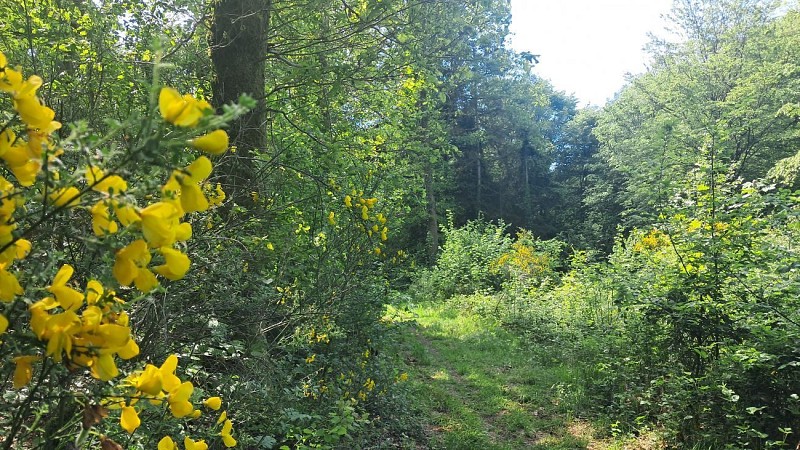 Sentier Eau et nature