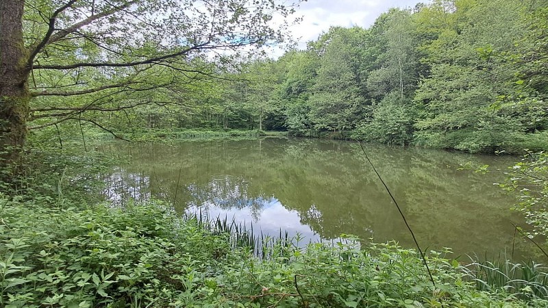 Sentier Eau et nature