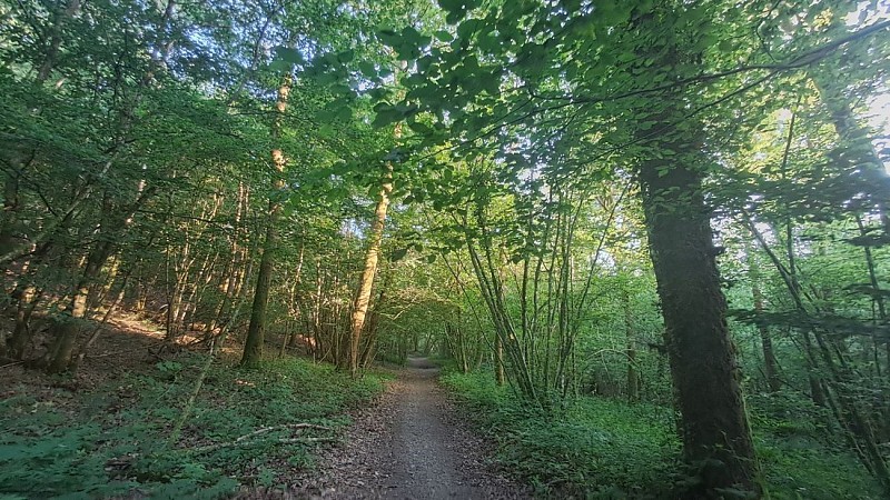 Sentier Eau et nature