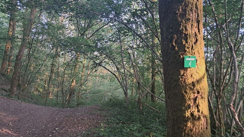 Sentier Eau et nature