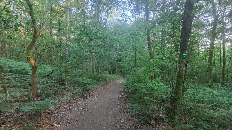 Sentier Eau et nature