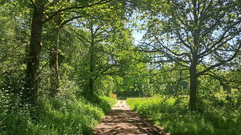 Sentier Eau et nature