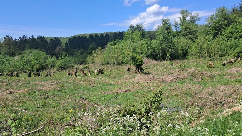 Sentier Eau et nature