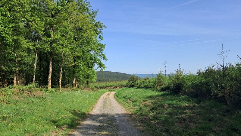 Chemin des contrebandiers