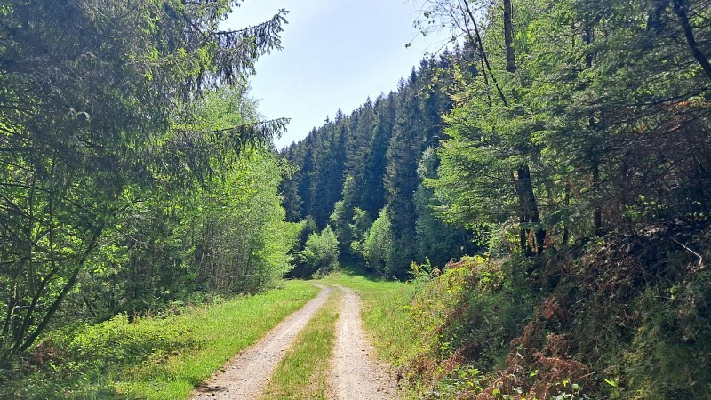 Chemin des contrebandiers