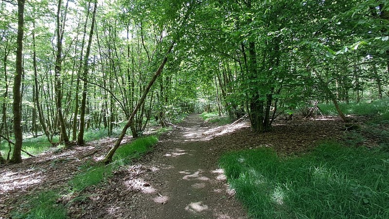 Chemin des contrebandiers