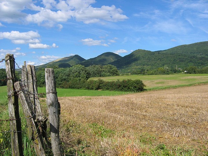 Liaison Vélo Treffort - Base de loisirs de la Grange du pin_Val-Revermont