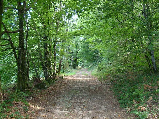 Chemin des seigneurs